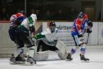 Eisbären werden Vizemeister